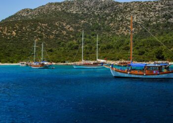 Guler nedir